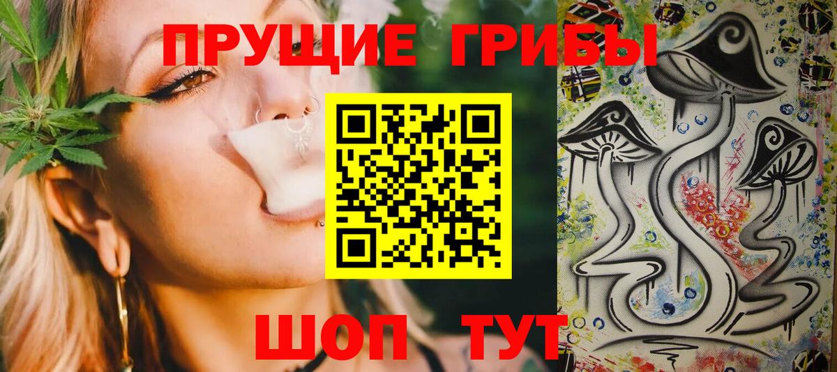 Псилоцибиновые грибы GOLDEN TEACHER Симферополь